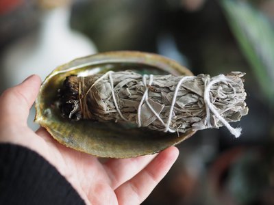 Image de la ressource