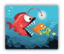 Image de la ressource