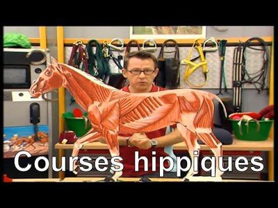 Image de la ressource