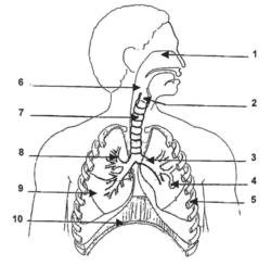 Image de la ressource