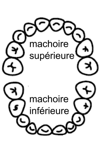 Image de la ressource