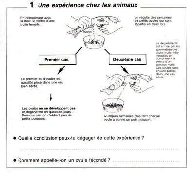 Image de la ressource