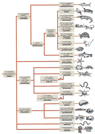 Image de la ressource
