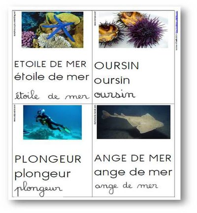 Image de la ressource