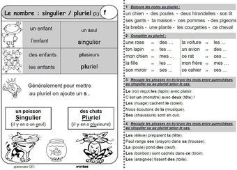 Image de CE1 grammaire exercices et leçons