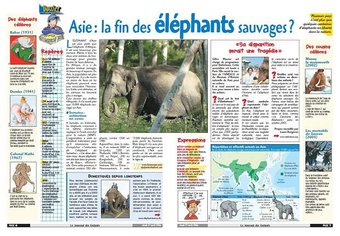 Image de Cycle 3-Lecture-Lire un article de presse