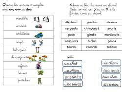 Image de la ressource