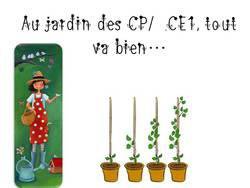 Image de la ressource