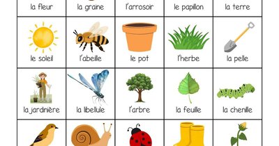 Image de la ressource