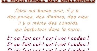 Image de Le rock'n'roll des galinacés