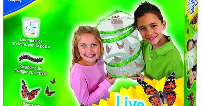 Image de la ressource