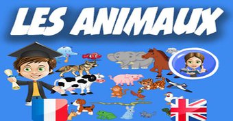 Image de Anglais : les animaux