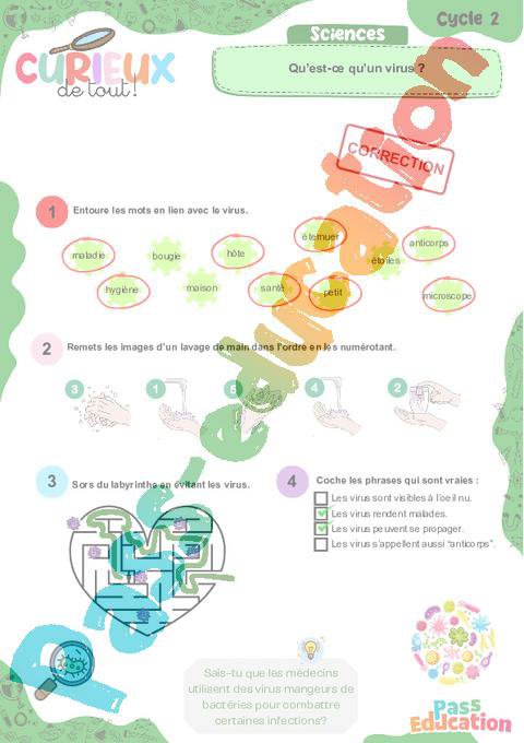 Qu’est-ce qu’un virus ? – Ce1 – Ce2 – Curieux de tout – Cycle 2 – PDF à ...