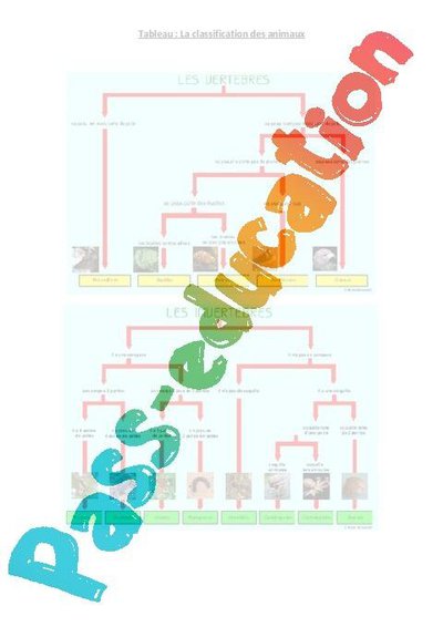 Image de la ressource