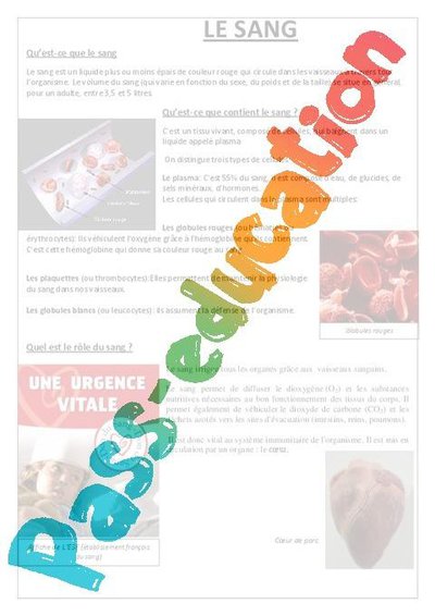 Image de la ressource