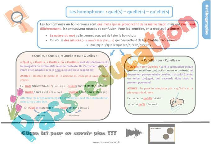 Evaluation avec le corrigé pour le CM2 – Les homophones grammaticaux
