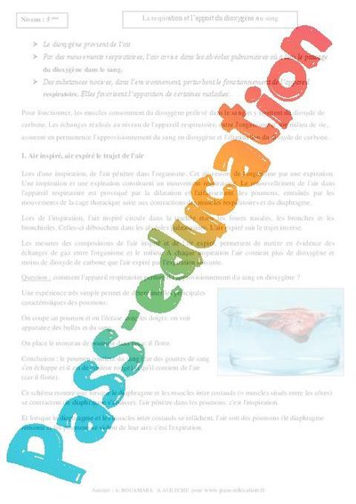 Image de la ressource