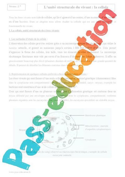 Image de la ressource