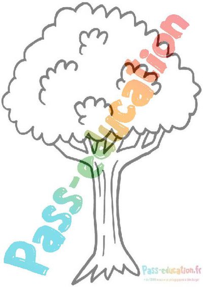 Image de la ressource