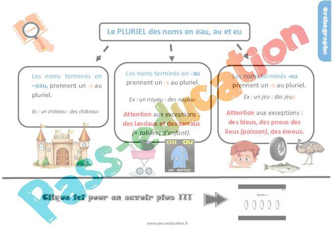 Le pluriel des noms en eau, au et eu au Cm1 – Leçon, trace écrite – PDF