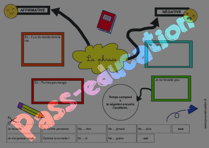 La phrase affirmative et négative – Cm1 – Cm2 – Carte mentale à co