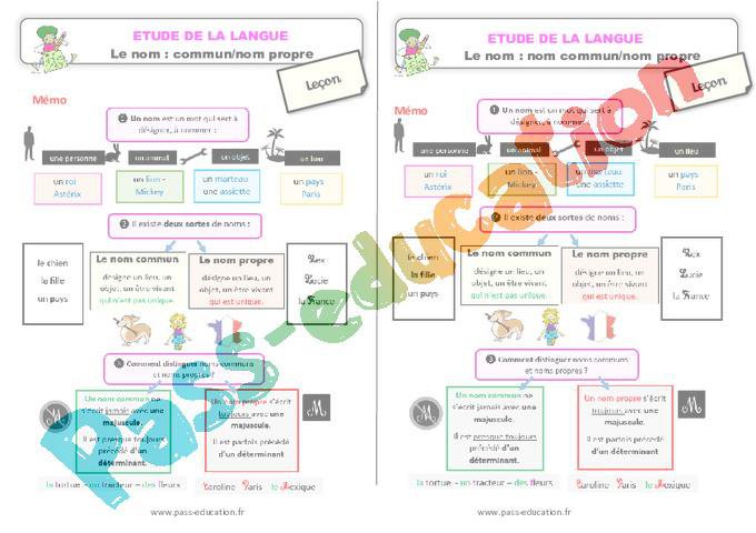 Le nom : nom commun / nom propre – Ce2 – Étude de la langue – Leçon