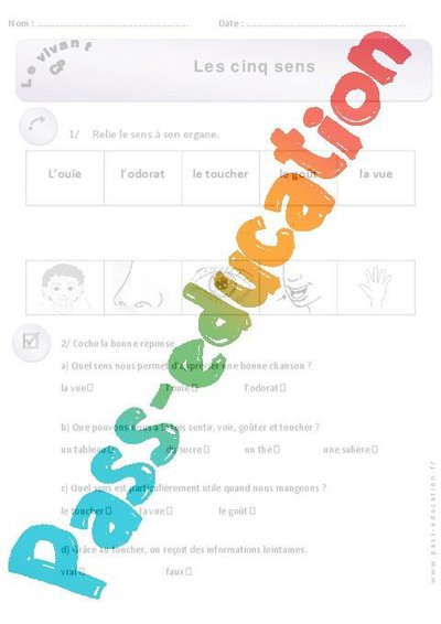 Image de la ressource