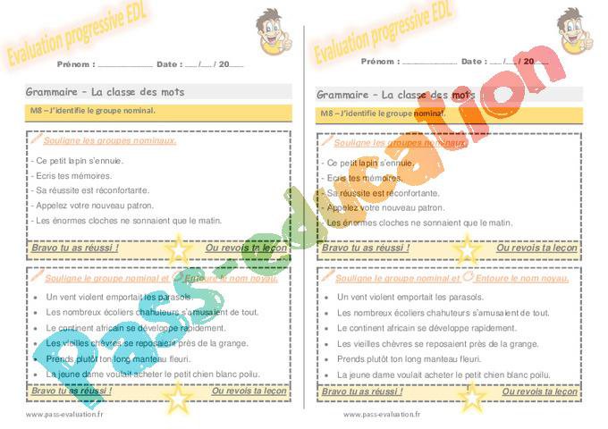 J’identifie le groupe nominal au CE2 – Evaluation progressive avec le