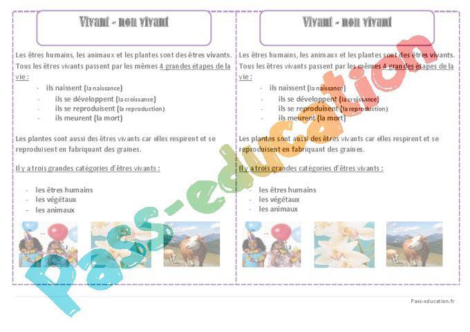 Vivant – Non vivant – Ce1 – Leçon par Pass-education.fr - jenseigne.fr