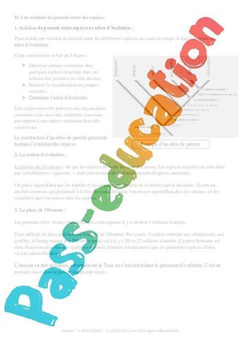 Evolution Des tres Vivants 3 me Cours SVT Brevet Des Coll ges Evolution Des tres Vivants 3 me Cours SVT Brevet Des Coll ges
