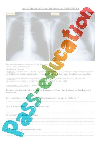 Image de la ressource