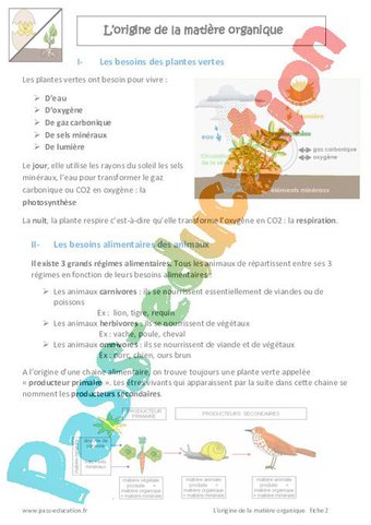 Image de Origine de la matière organique – 6ème – Evaluation – Bilan – Cycle 3 – PDF à imprimer
