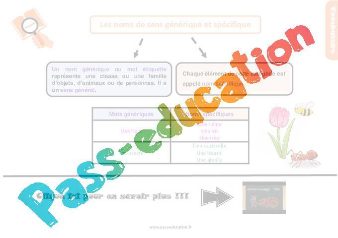 les-noms-de-sens-g-n-rique-et-sp-cifique-au-cm2-le-on-trace-crite