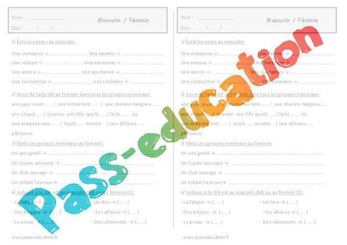 Masculin – Féminin – Ce1- Exercices – Grammaire – PDF à imprimer par