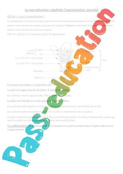 Image de la ressource
