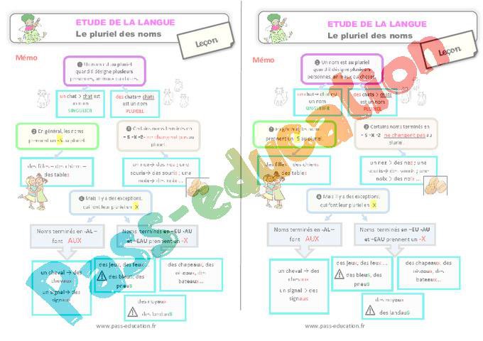 Le pluriel des noms – Ce2 – Étude de la langue – Leçon – PDF à imprimer