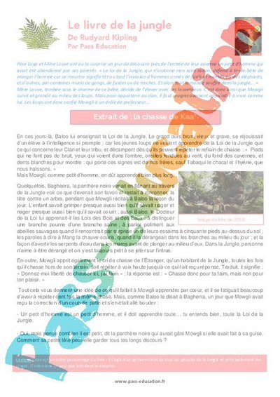 Image de la ressource