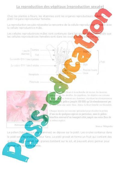 Image de la ressource