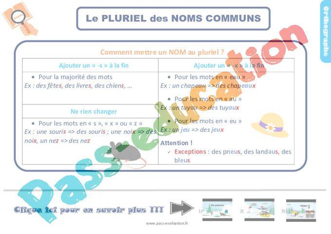 Bilan au Ce2 – Le pluriel des noms – Evaluation avec la correction