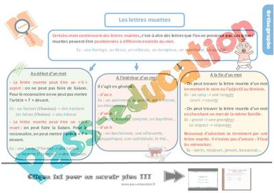 Image de la ressource