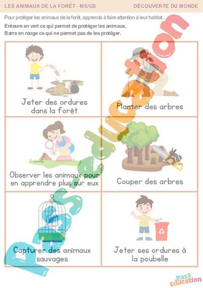 Image de la ressource