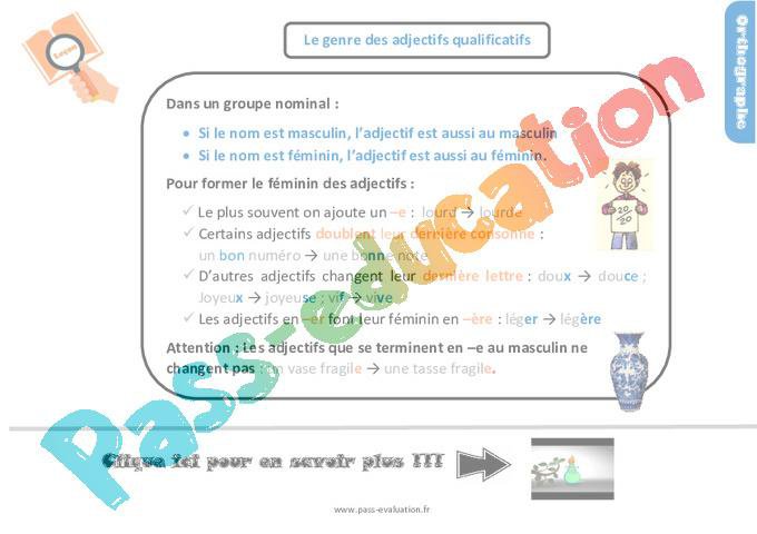 Le genre des adjectifs qualificatifs au CM2 – Evaluation et bilan avec