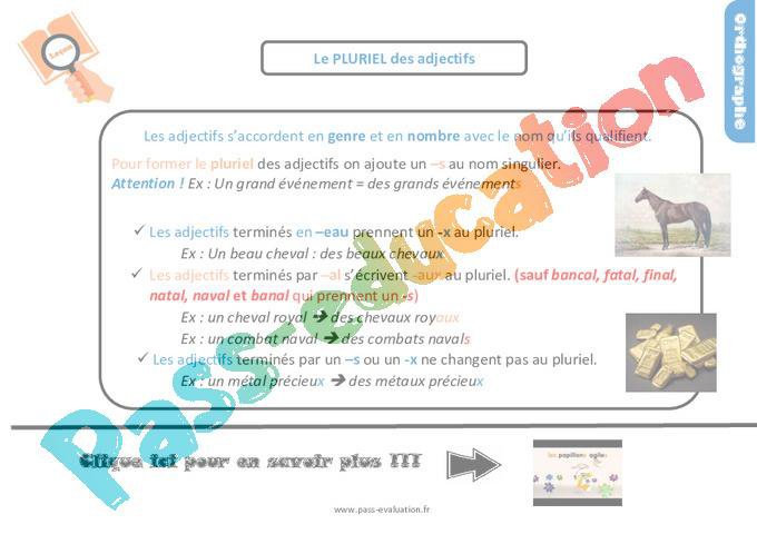 Evaluation et Bilan pour le CM1 – Le pluriel des adjectifs – PDF à