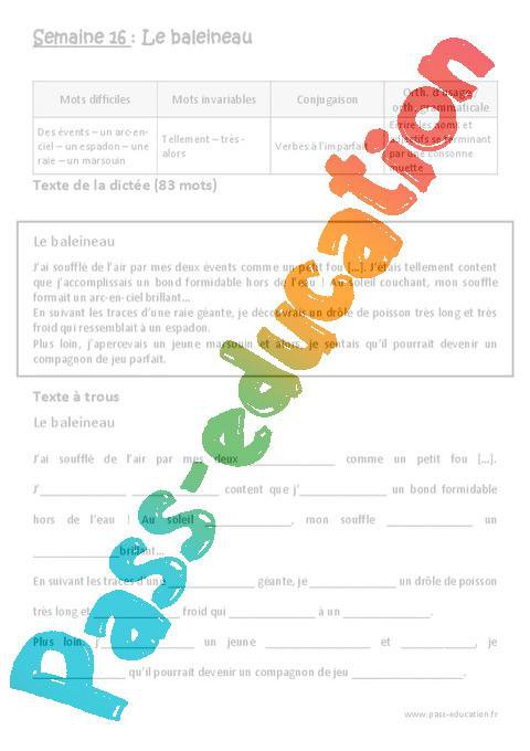 Verbes A L Imparfait Ecrire Les Noms Et Adjectifs Se Terminant Par Une Consonne Muette Dictee Preparee A Trous Cm2 Par Pass Education Fr Jenseigne Fr