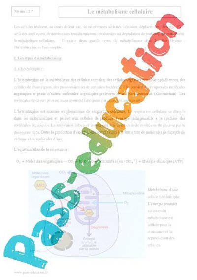 Image de la ressource