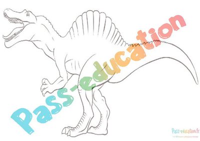 Image de la ressource