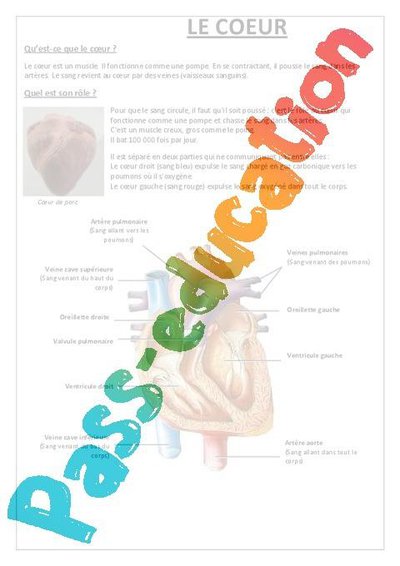 Image de la ressource