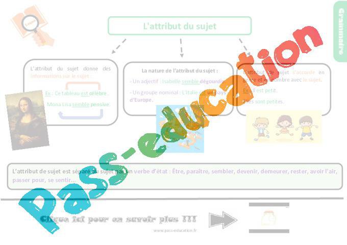 Exercice Attribut Du Sujet Cm1 Avec Correction www.jenseigne.fr