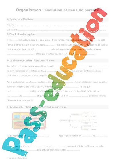 Image de la ressource