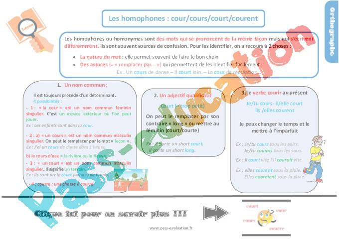 Evaluation avec le corrigé pour le CM2 – Les homophones lexicaux : cour